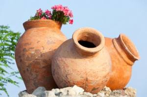 Three amphora clay pots with flowers growing inside.